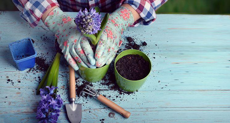 5 Beautiful Gardens to Inspire You to Get Your Dubai Garden Ready for Winter
