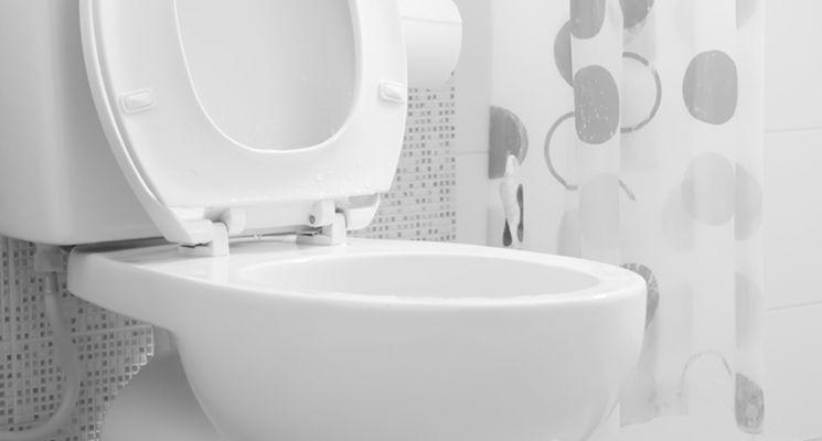 Blocked Toilet? Here&#8217;s What You Can Do Before Calling a Plumber