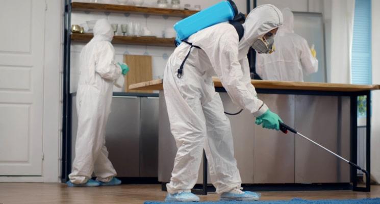 What Products Do Pest Control Services in Dubai Use?