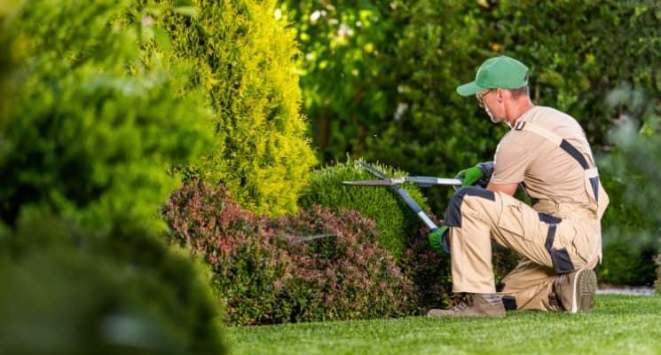 How to Hire a Gardener in Dubai
